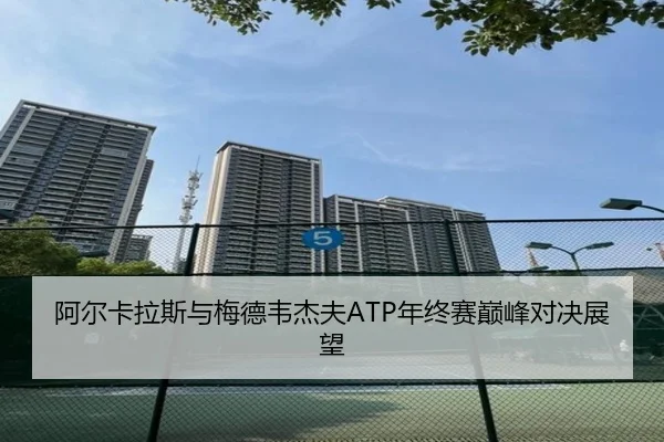阿尔卡拉斯与梅德韦杰夫ATP年终赛巅峰对决展望